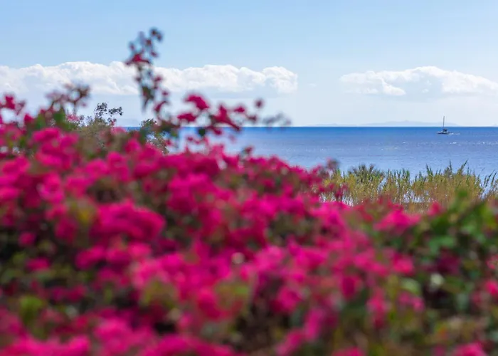 Dora's & Mégas Yialós-Nítes