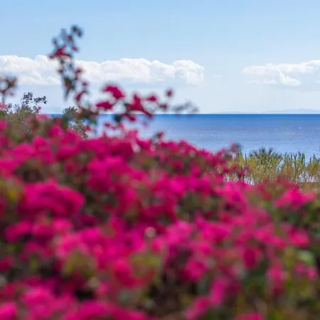 Dora's & Mégas Yialós-Nítes