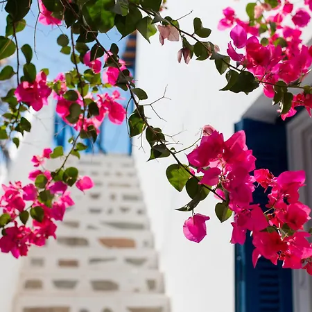 شقة فندقية Dora's &