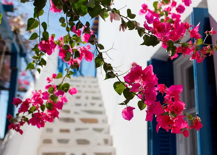 アパートホテル Dora's &